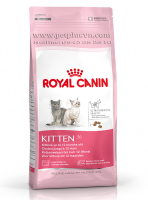 Royal Canin Kitten cho mèo con